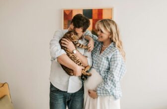 Affordable Cat Supply Options for Budget-Conscious Owners