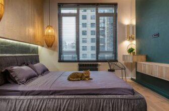 Creating a Luxury Lifestyle for Your Cat